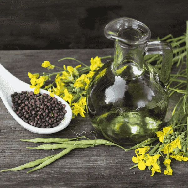 Crude Canola Oil and Canola Seed