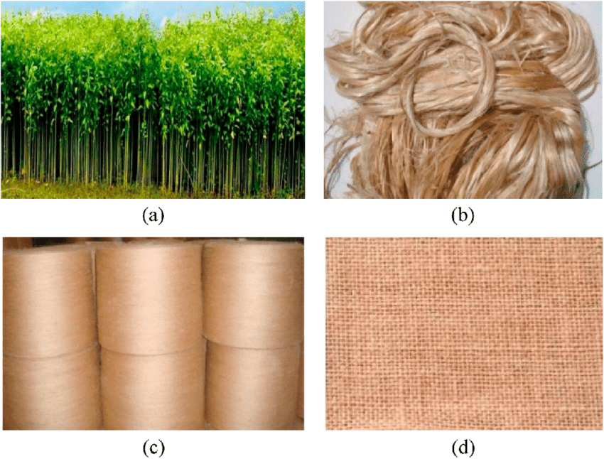 Jute