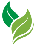 Foris Holdings